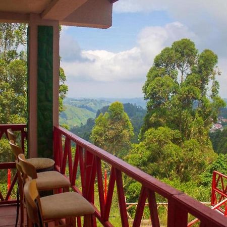 Hotel Natura Cocora サレント エクステリア 写真
