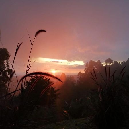 Hotel Natura Cocora サレント エクステリア 写真
