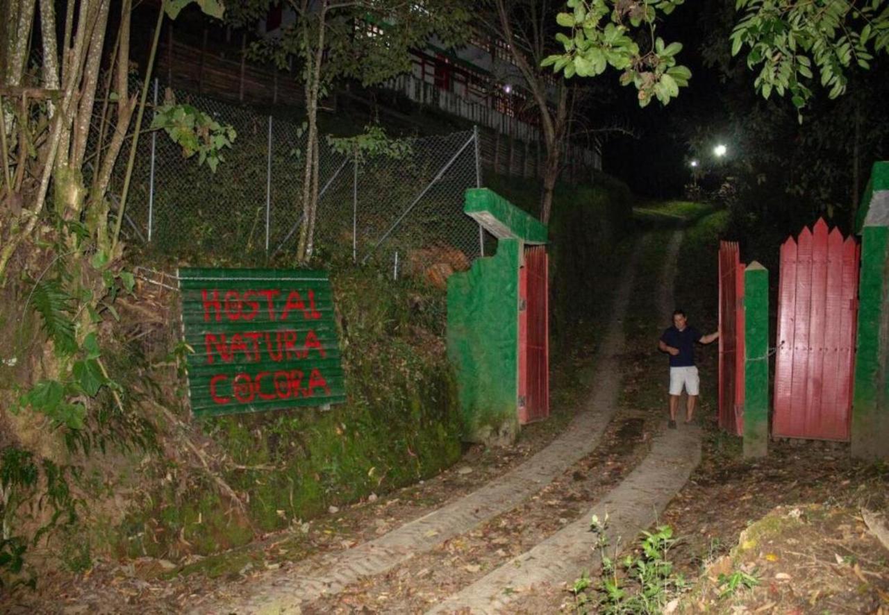 Hotel Natura Cocora サレント エクステリア 写真