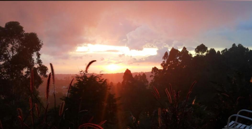 Hotel Natura Cocora サレント エクステリア 写真